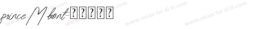 princeM font字体转换